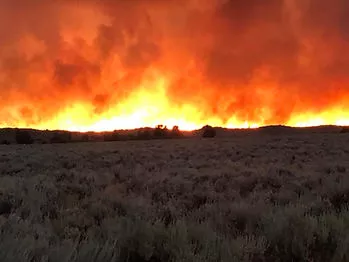 Photo credit Charles Kator